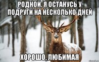 родной, я останусь у подруги на несколько дней хорошо, любимая