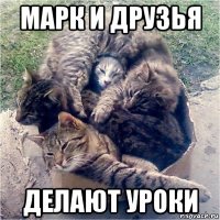 марк и друзья делают уроки