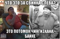 что это за свинка слева? это потомок чингизхана, байке