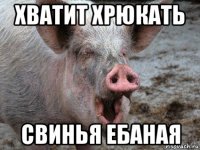 хватит хрюкать свинья ебаная