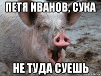 петя иванов, сука не туда суешь