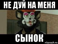 не дуй на меня сынок