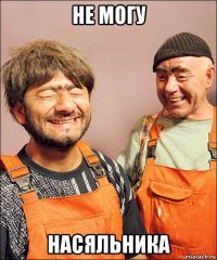 не могу насяльника