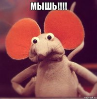 мышь!!!! 