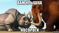 вам крышка носороги