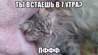 ты встаешь в 7 утра? пффф