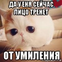 да у еня сейчас лицо тренет от умиления