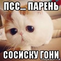 псс... парень сосиску гони