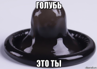 голубь это ты