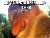 когда место приборки - пежня 