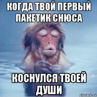 когда твой первый пакетик снюса коснулся твоей души