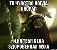 то чувство когда насрал и на тебя села здоровенная муха