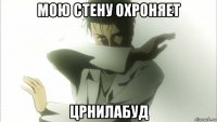 мою стену охроняет црнилабуд