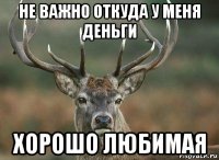 не важно откуда у меня деньги хорошо любимая