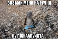 возьми меня на ручки ну пожаалуйста...