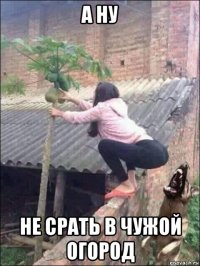 а ну не срать в чужой огород