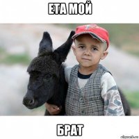 ета мой брат