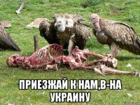  приезжай к нам,в-на украину