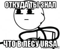 откуда ты знал что в лесу ursa