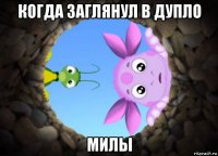 когда заглянул в дупло милы