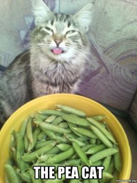  the pea cat