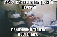 лайк, если вместо ледяной проруби прыгнули в теплую постельку...