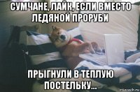 сумчане, лайк, если вместо ледяной проруби прыгнули в теплую постельку...