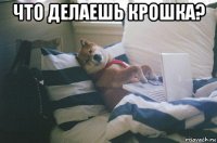 что делаешь крошка? 