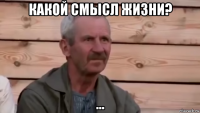 какой смысл жизни? ...