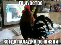 то чувство когда паладин по жизни