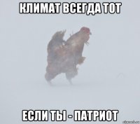 климат всегда тот если ты - патриот