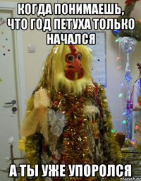 когда понимаешь, что год петуха только начался а ты уже упоролся
