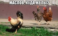 маслов, куда же ты? 