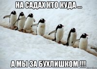 на садах кто куда ... а мы за бухлишком !!!