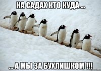 на садах кто куда ... ... а мы за бухлишком !!!
