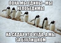 пока мы едины - мы непобедимы на садах кто куда, а мы за бухлишком