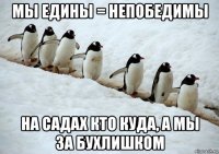 мы едины = непобедимы на садах кто куда, а мы за бухлишком