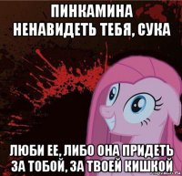 пинкамина ненавидеть тебя, сука люби ее, либо она придеть за тобой, за твоей кишкой