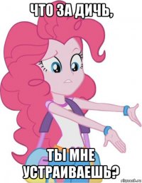 что за дичь, ты мне устраиваешь?
