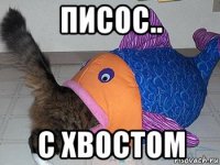 писос.. с хвостом
