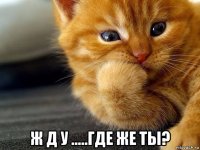  ж д у .....где же ты?