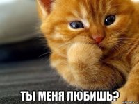  ты меня любишь?