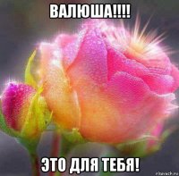 валюша!!!! это для тебя!