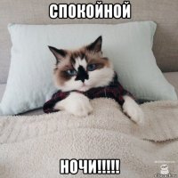 спокойной ночи!!!!!