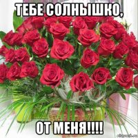 тебе солнышко, от меня!!!!