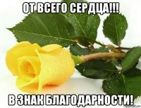 от всего сердца!!! в знак благодарности!