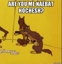 are you me naebat hochesh? 