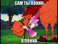 сам ты поник я понка