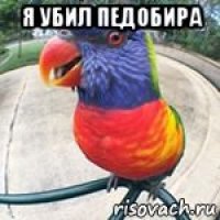 я убил педобира 