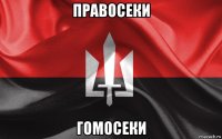 правосеки гомосеки